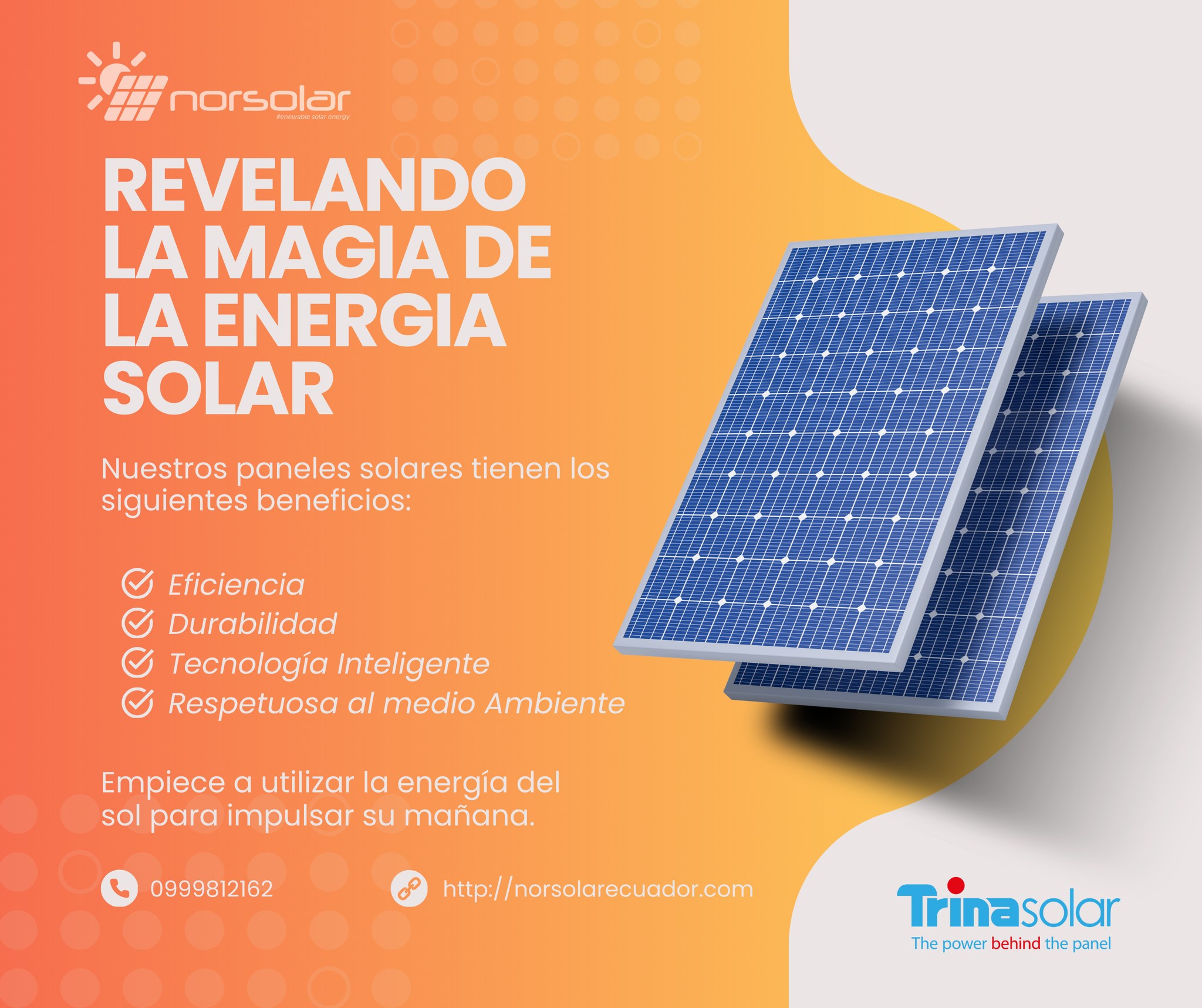 Norsolar | Ibarra