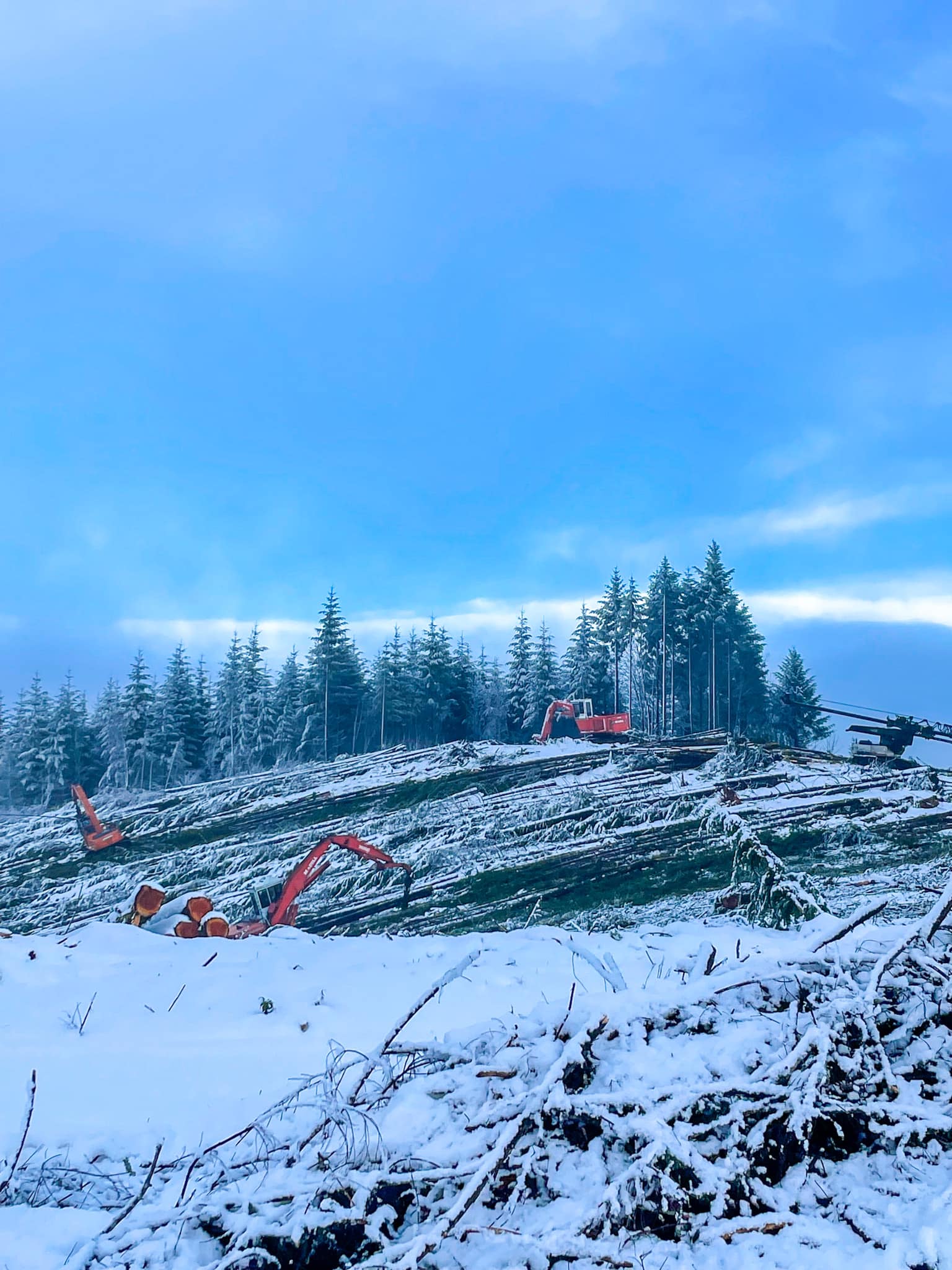 Iron Horse Logging Inc. | Mapleton OR