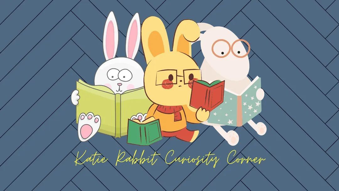 Katie Rabbits Curiosity Corner in partnership with Usborne books