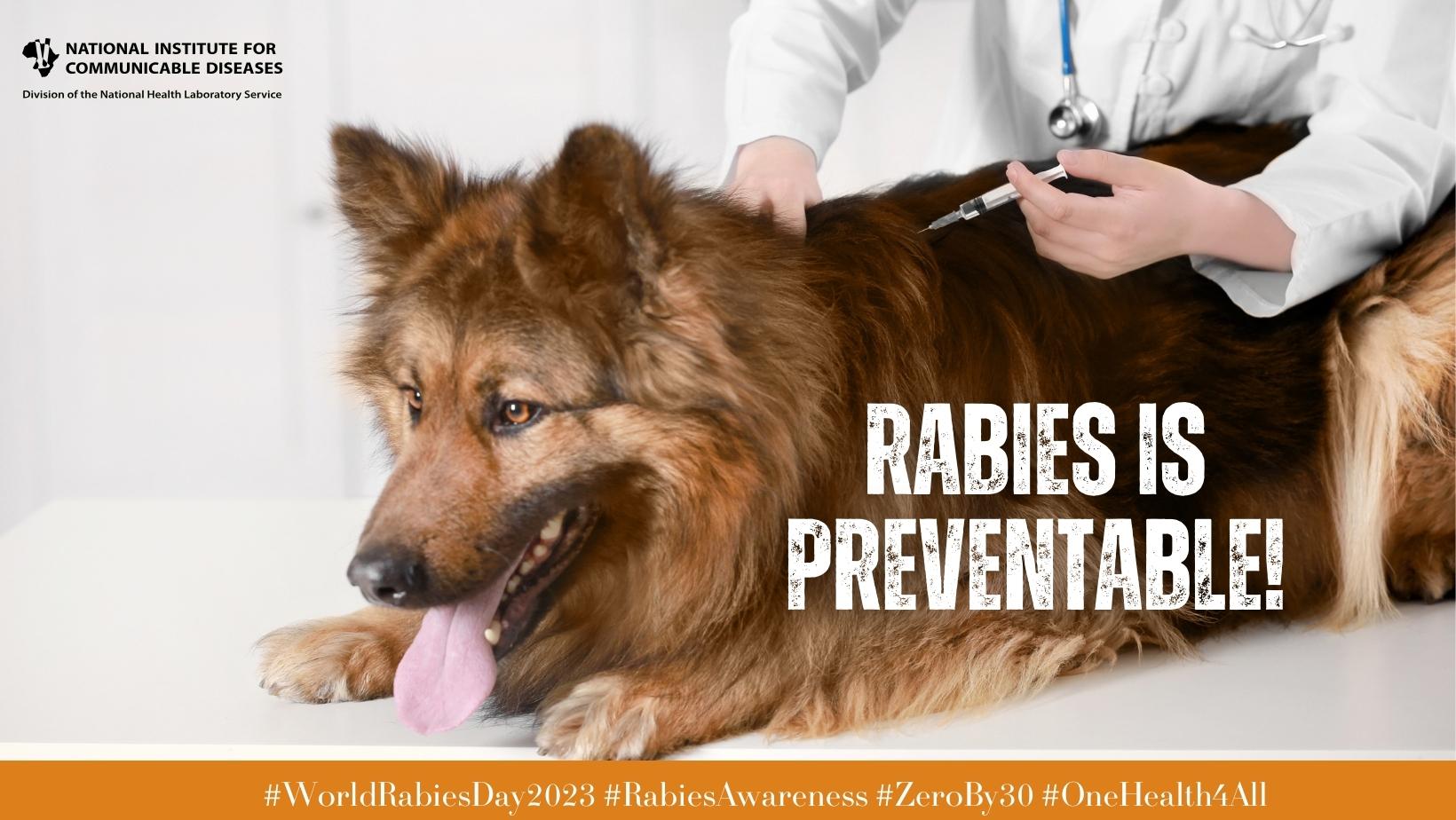 Rabies is... - National Institute for Communicable Diseases | Facebook