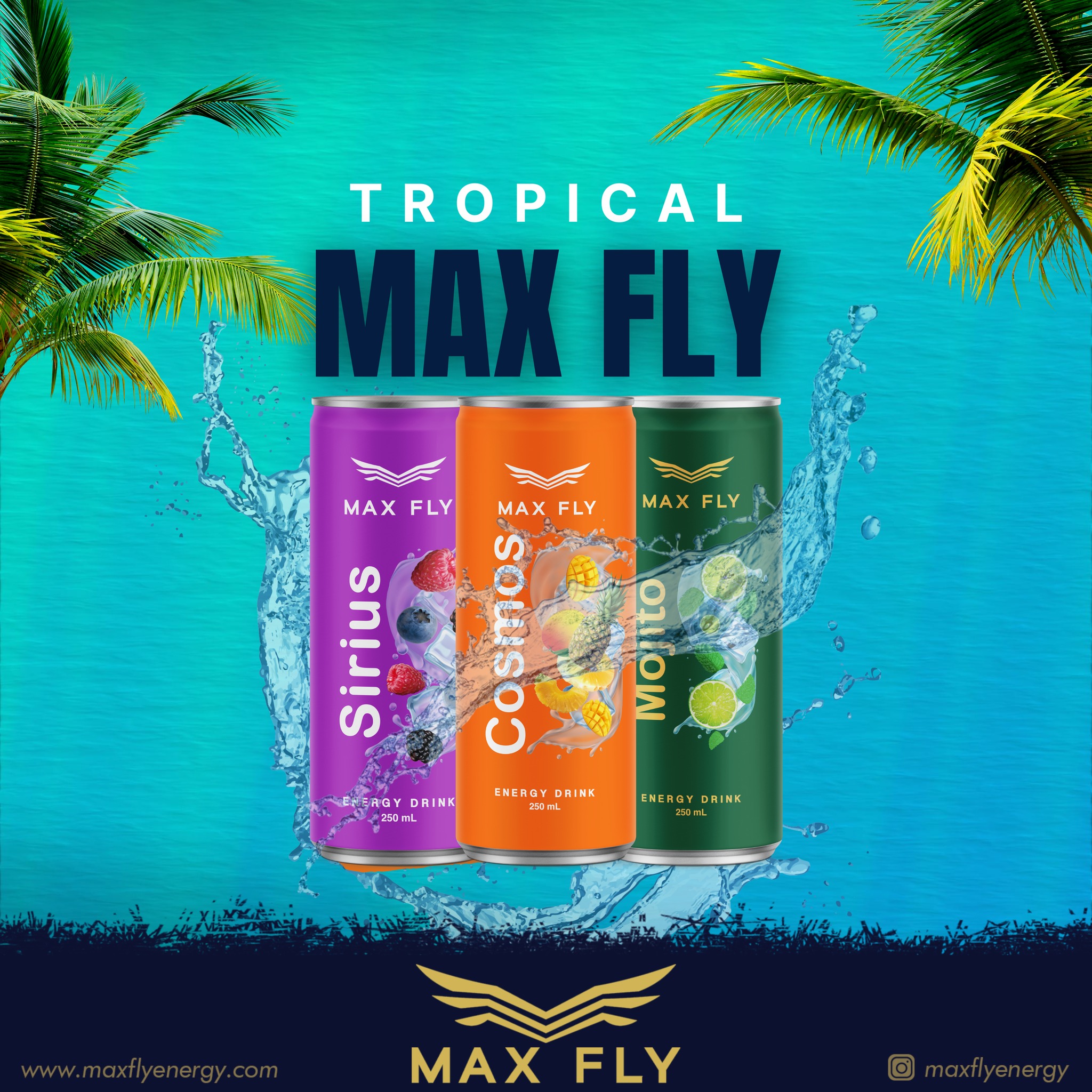 Max Fly Energy Drink Benin | Gaziantep