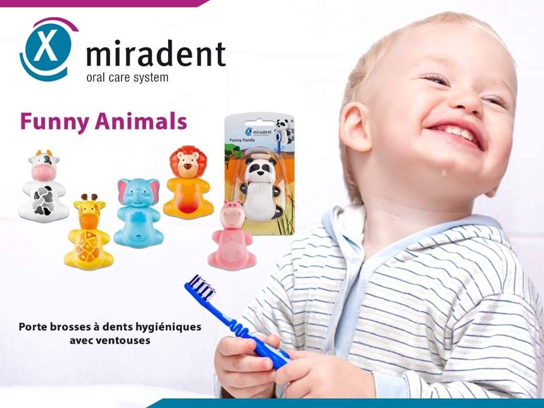 Miradent Brosse A Dents Amusante Pour Motiver Les Enfants La Figure Entourant La Brosse A Dents Sert De Protection Et Est Super Hygienique La Brosse A Dents Tient Debout Tout Seul