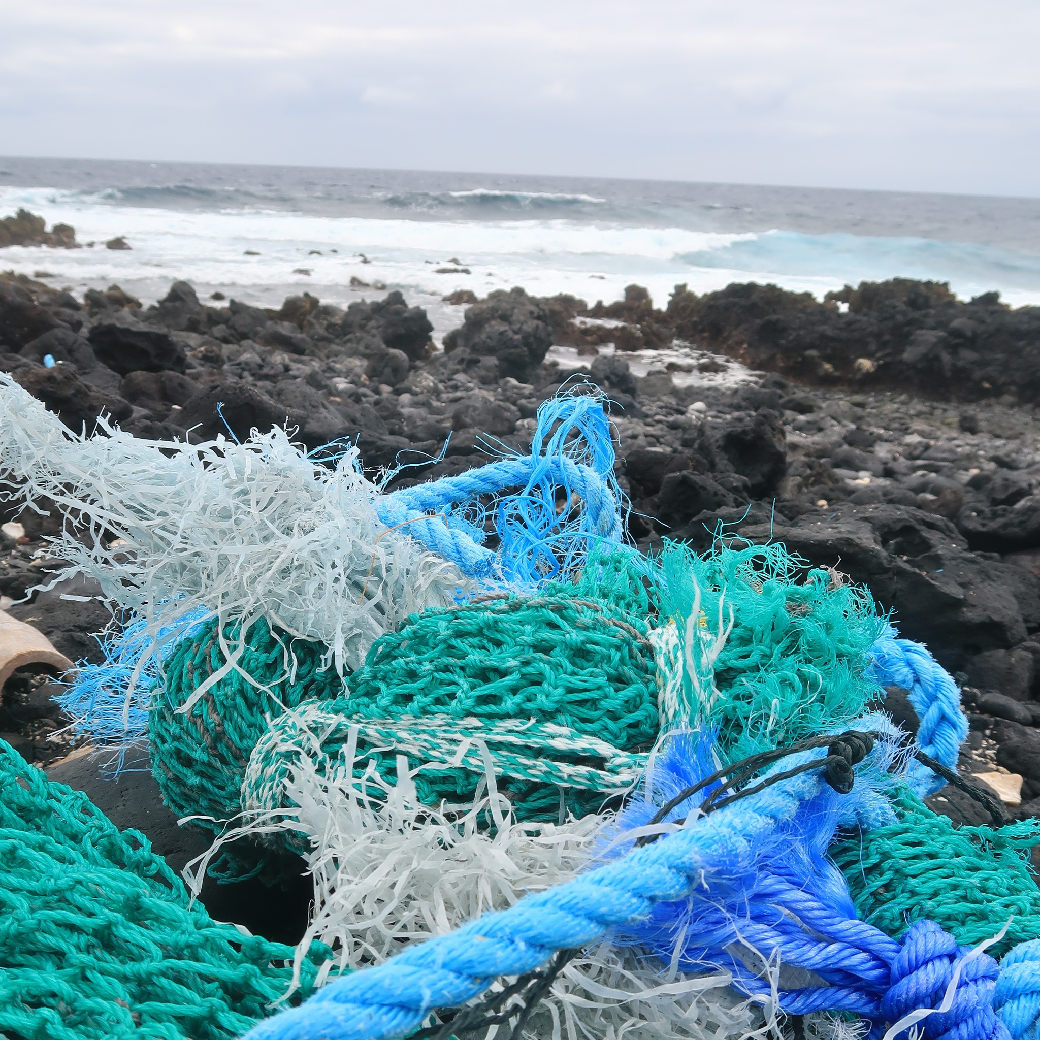 beach netting fish Net Decorations for Party, 2mm Natural Cotton Hawaiian Party Fish Net Decorative, Nautical Themed Cotton Fishnet Room Under The Sea Ocean Party Decor (1) : Home & Kitchen Capture the spirit of the sea for your beach Catching Your Own Bait -