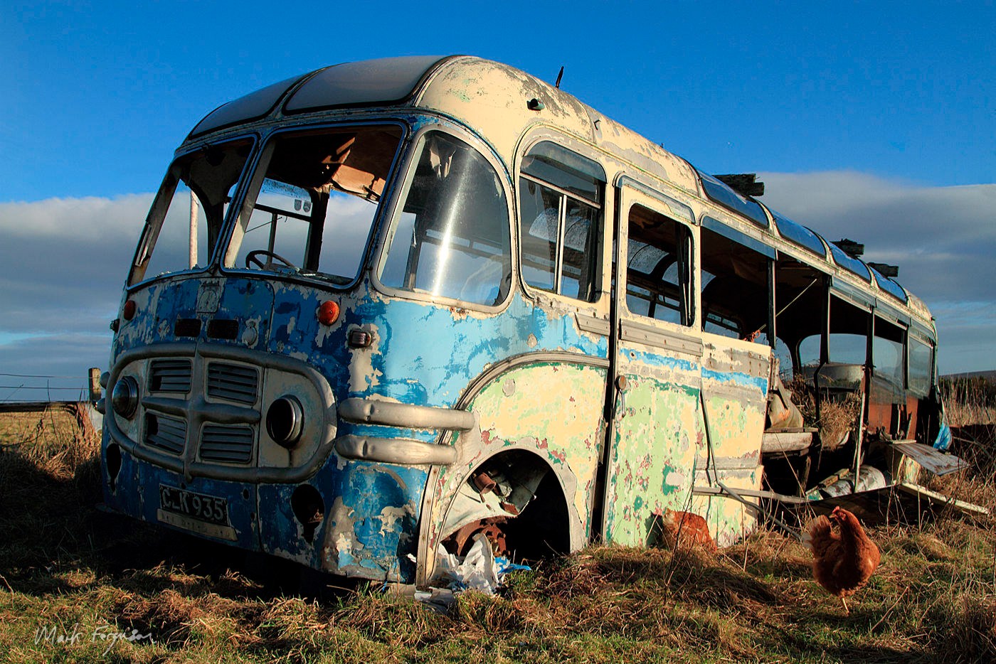 Some chickens and the Bus is hale... - Community Bus Scilly | Facebook