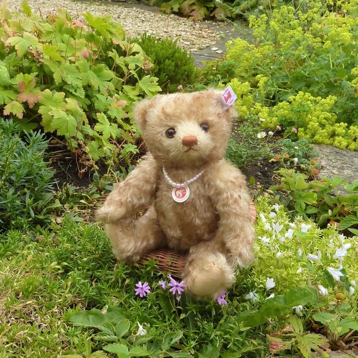 Teddy Bears of Witney | Witney