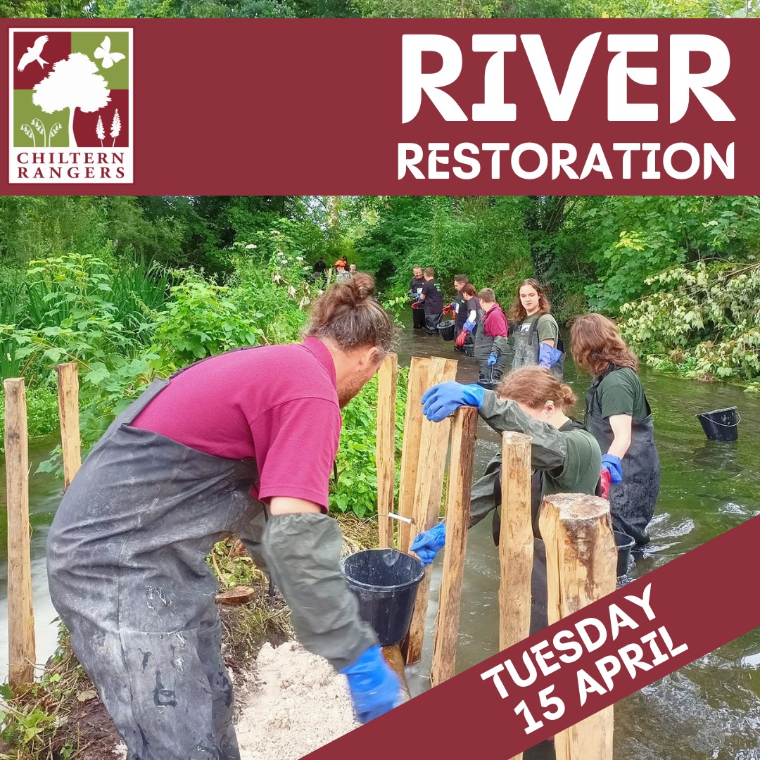 Chiltern Rangers CIC | High Wycombe