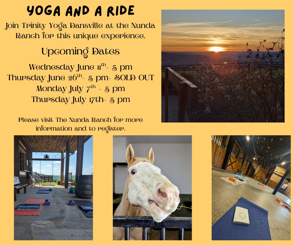 The Nunda Ranch | Nunda NY