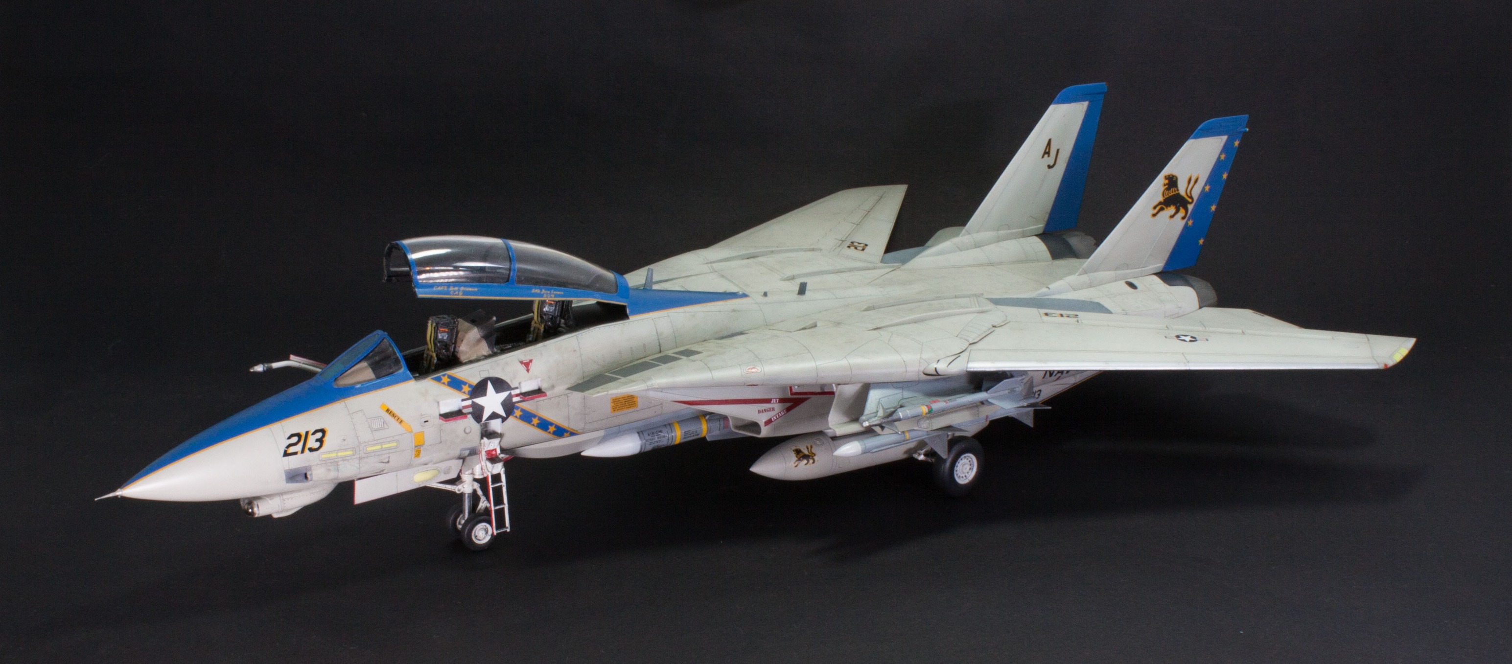 F Fityle Maquette Avion F-14D Échelle 1/100 – 19x18 Cm, Alliage PP, Réaliste, Avec Support D’Exposition – Collectionneur