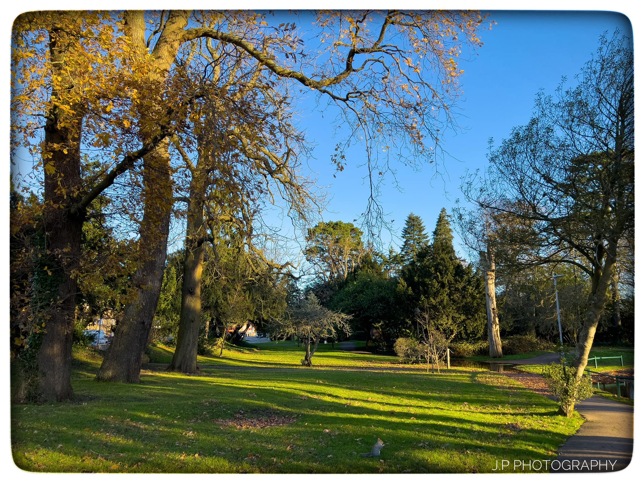 J.P Photography - Todays walk around Oakmere Park. ITV...