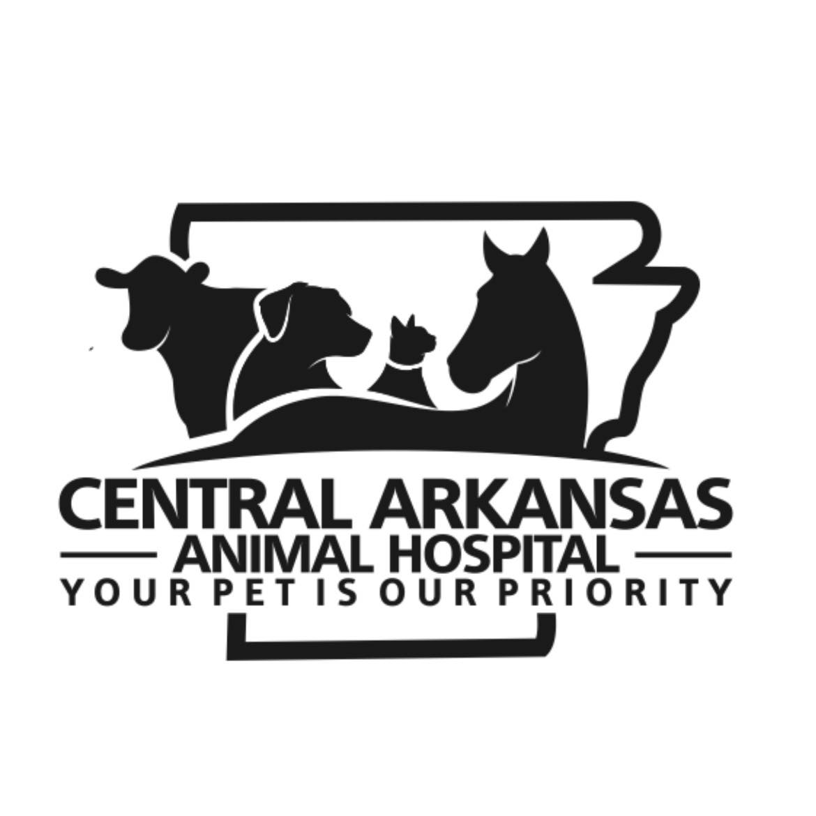 Central - Understanding POCUS Ultrasounds in Dogs and Cats 🐾 Point-of ...