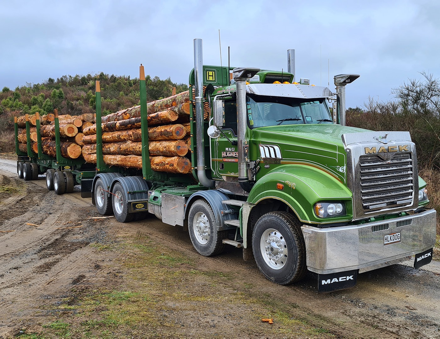 Log Truck Mack Truck