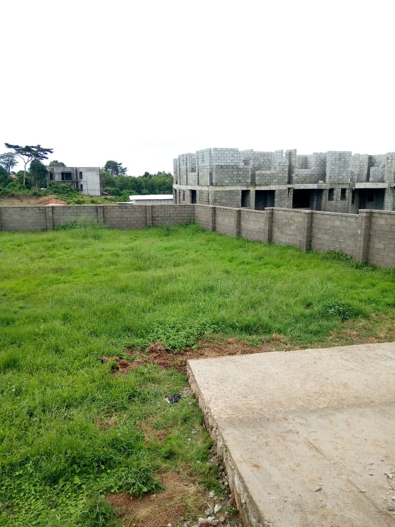 simba-villas-ltd-kampala