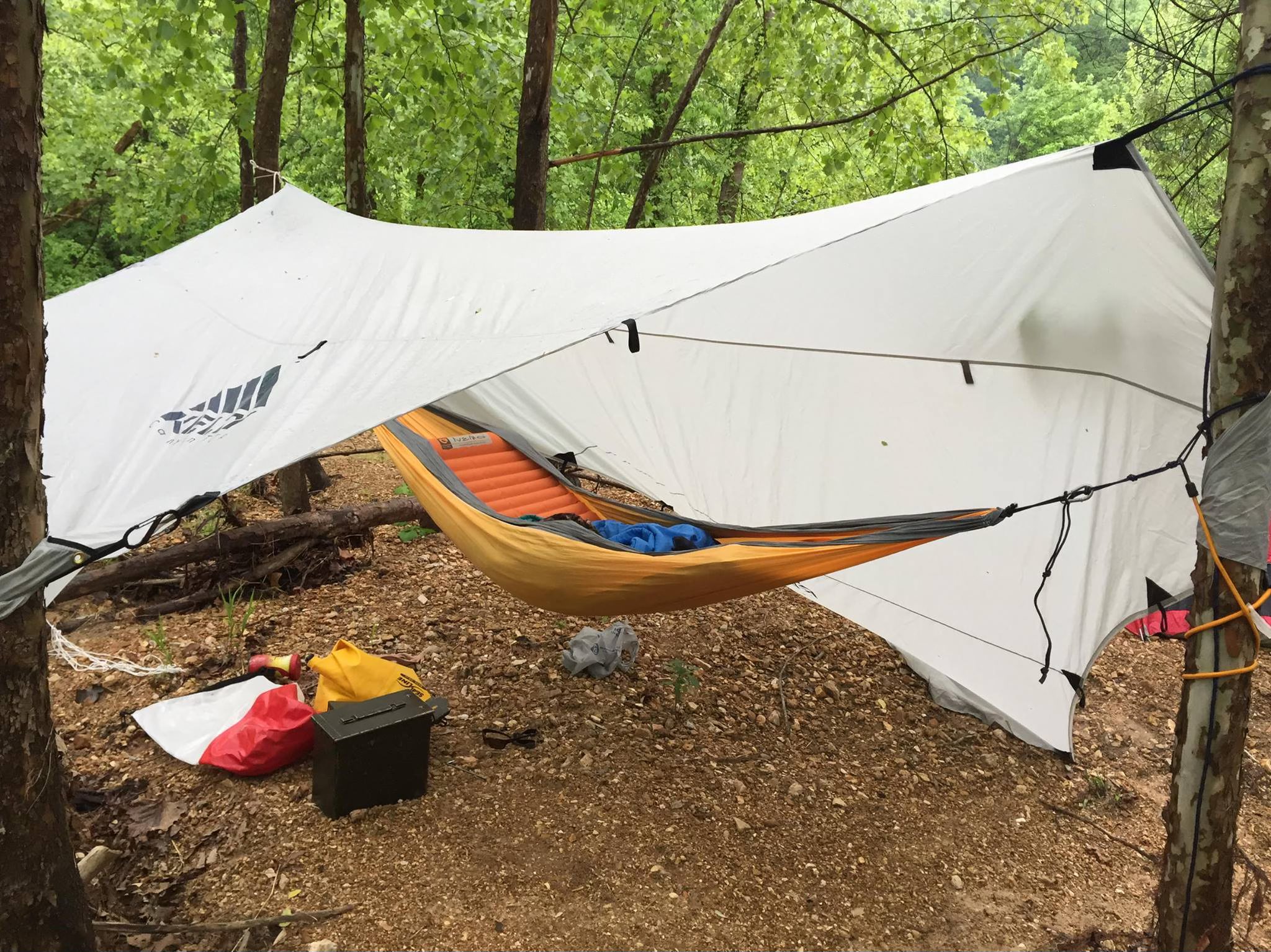 ultra lightweight tent Durston X-Dome 2 Solid Ultralight Freestanding IDW PUBLISHING CYCLZ® Damen Rennrad Trikot Grün „Smaragd Forest“ – | Leicht & Atmungsaktiv (Größe):S in ventilation system for Who wears the NCAA