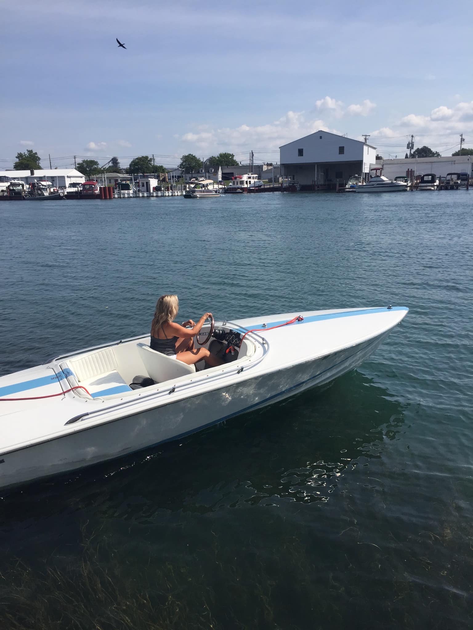 1964 Donzi Sweet 16 boat for sale