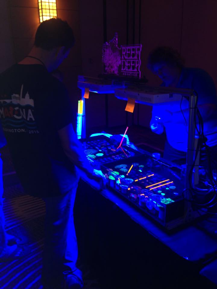 Desert FRAG Fest