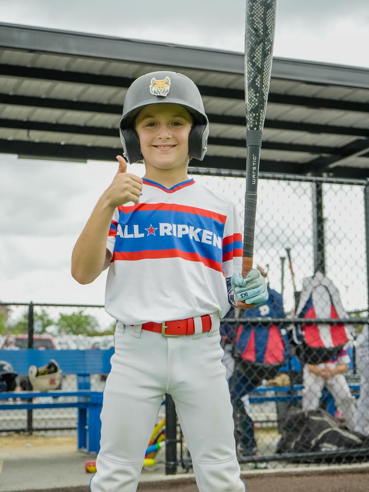 All-Ripken