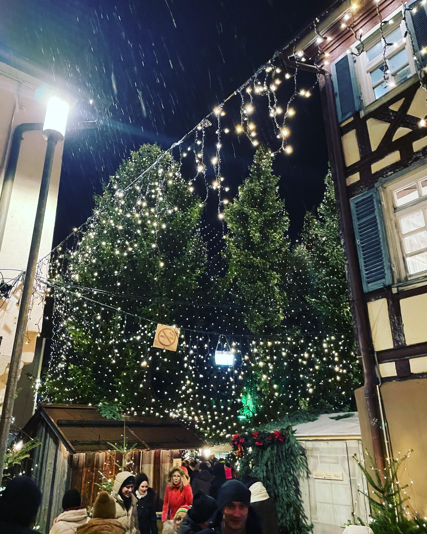 Der #Adventswald 2023 geht zu... - Rudersberger Adventswald