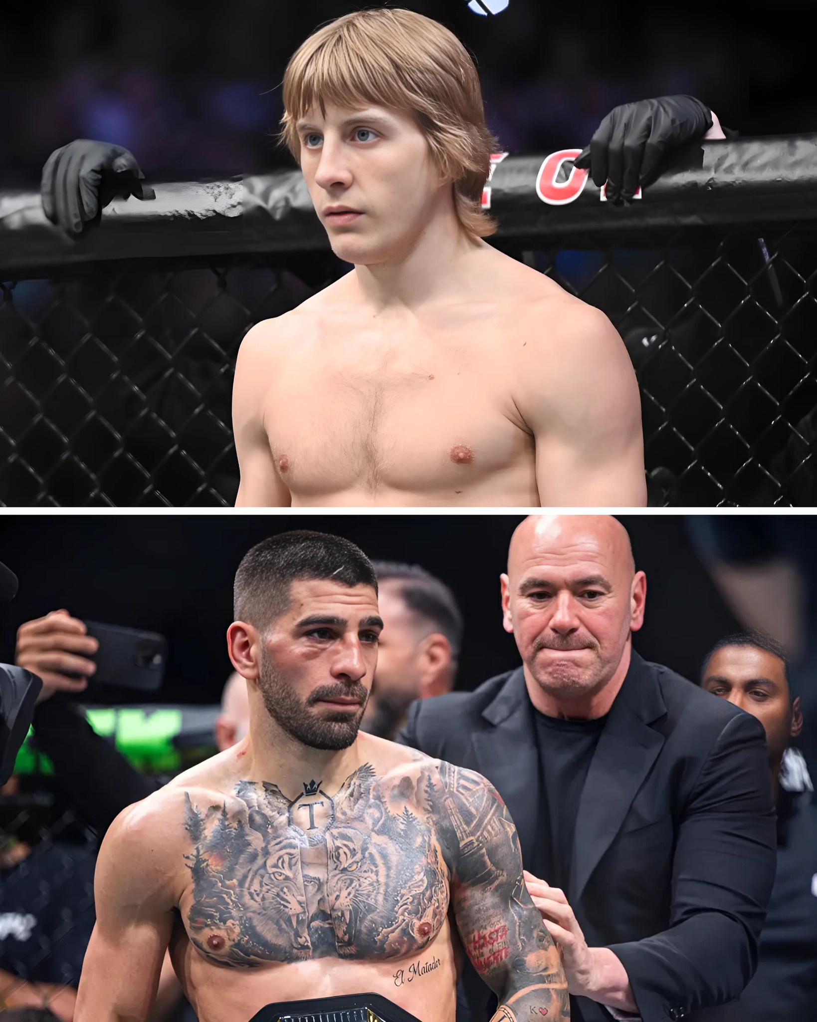 Vines - Joe Rogan & Fans Watch in Horror as Ilia Topuria Snubs 2 ...