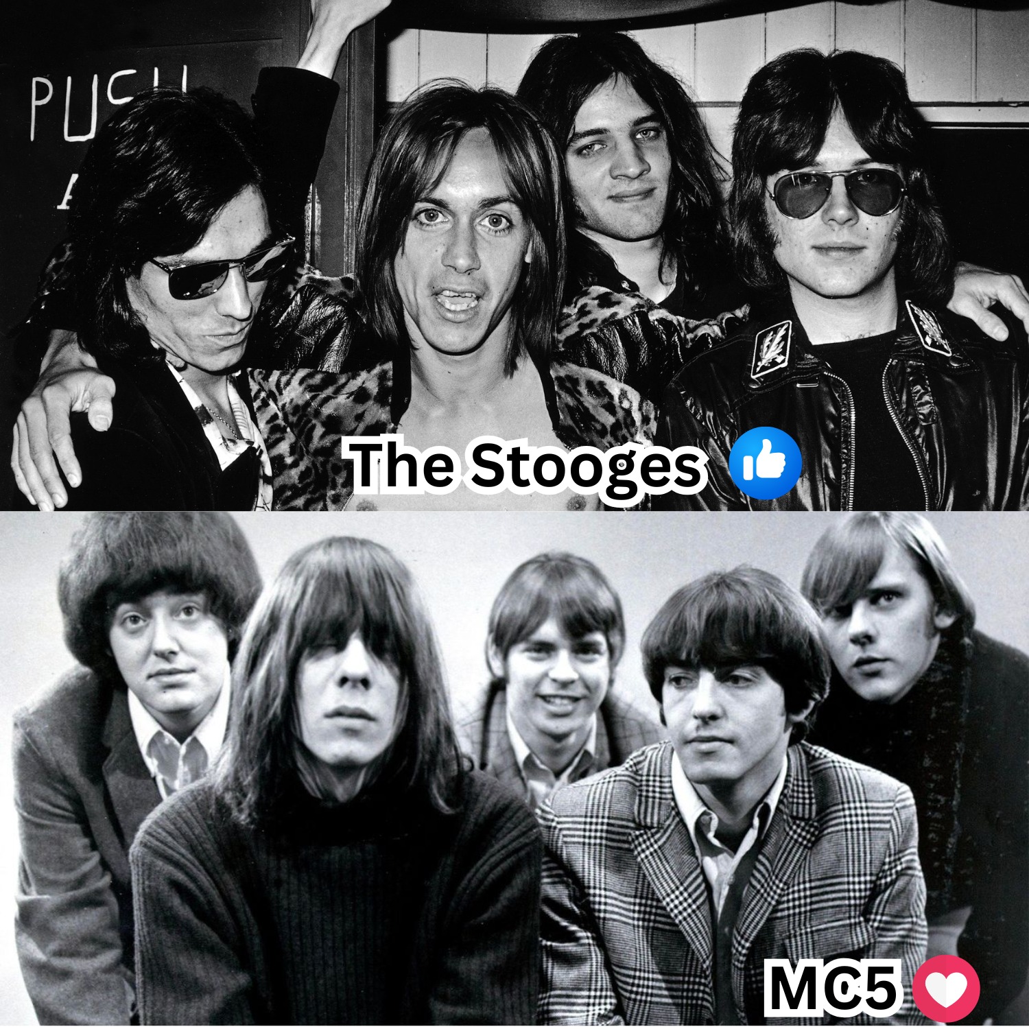 👍 The Stooges / ❤️ MC5 👍 The Stooges The Stooges laid punk's