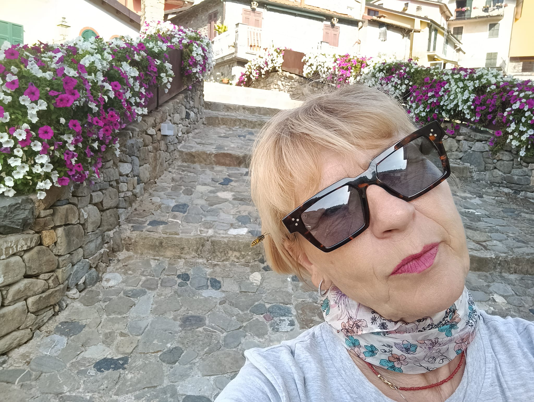 Te lo regalo se vieni a prenderlo | Sarzana