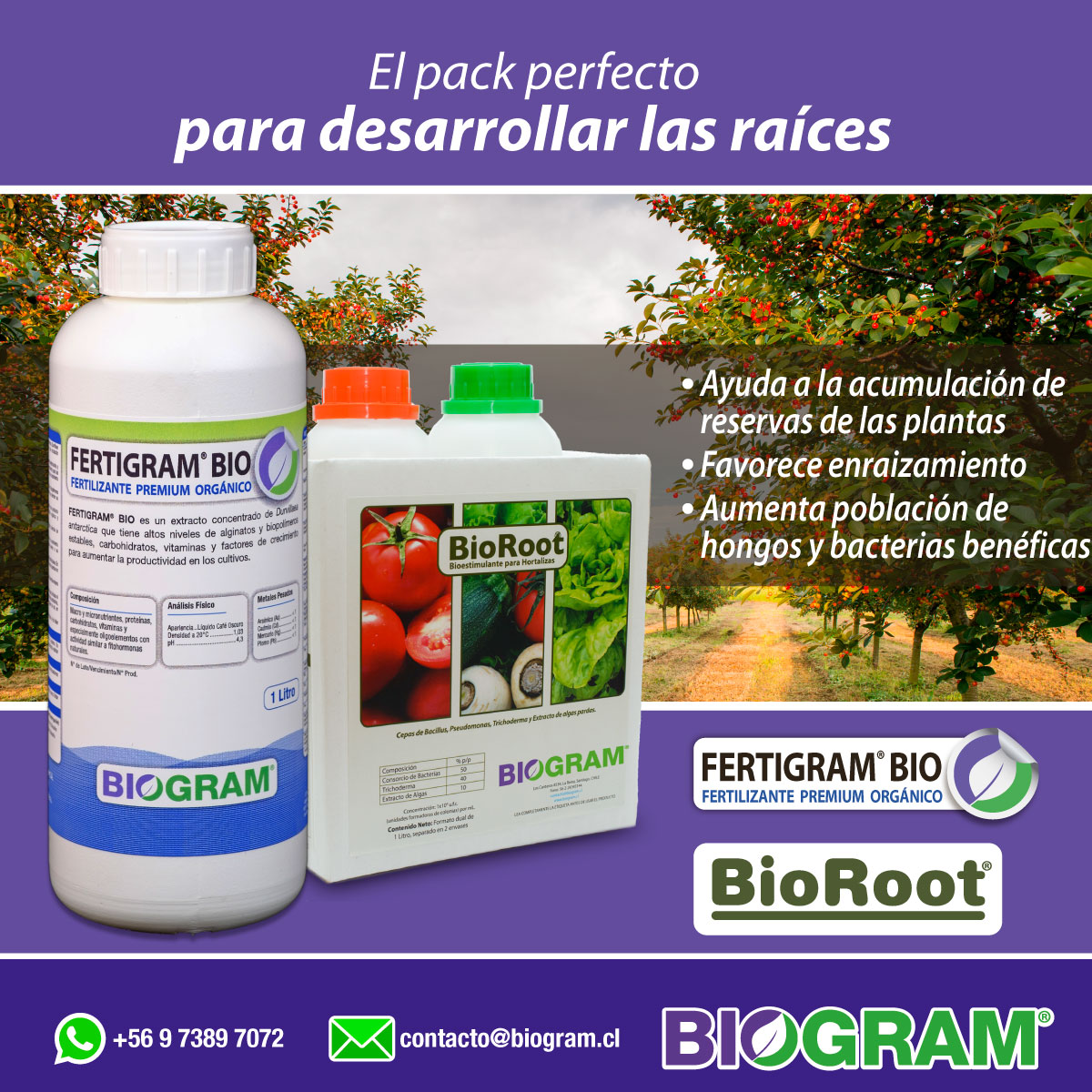 BIOGRAM S.A. | La Reina