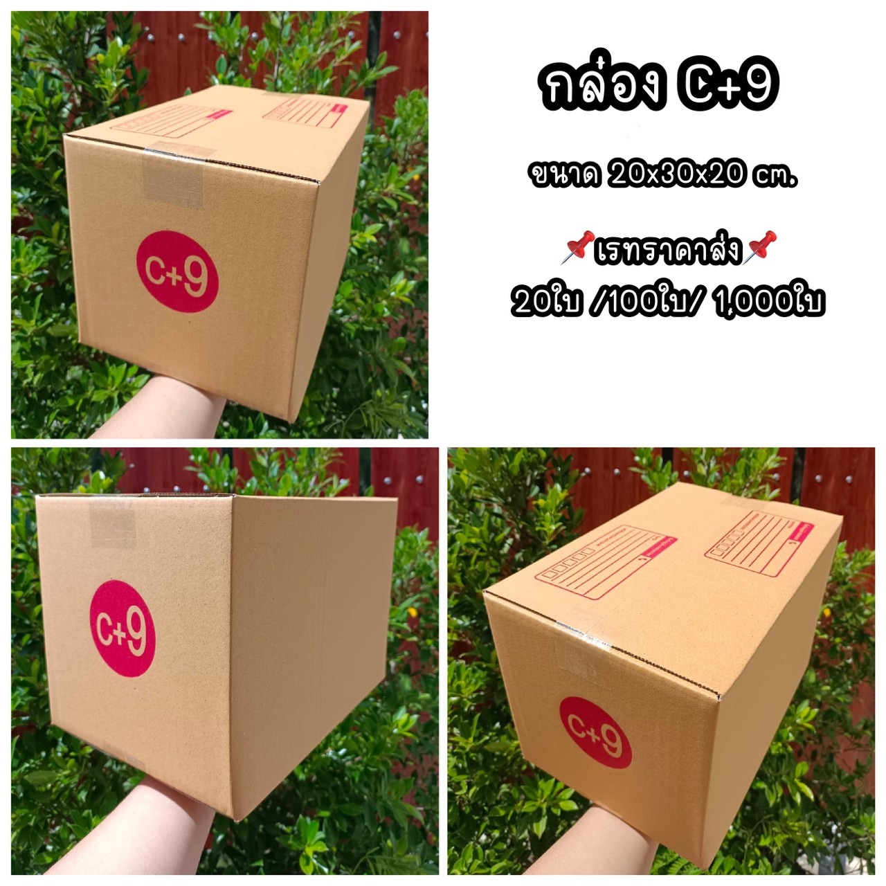 กล่องเบอร์ C+9 1 แพ็ค... - Np Box กล่องไปรษณีย์ราคาถูกโคราช | Facebook