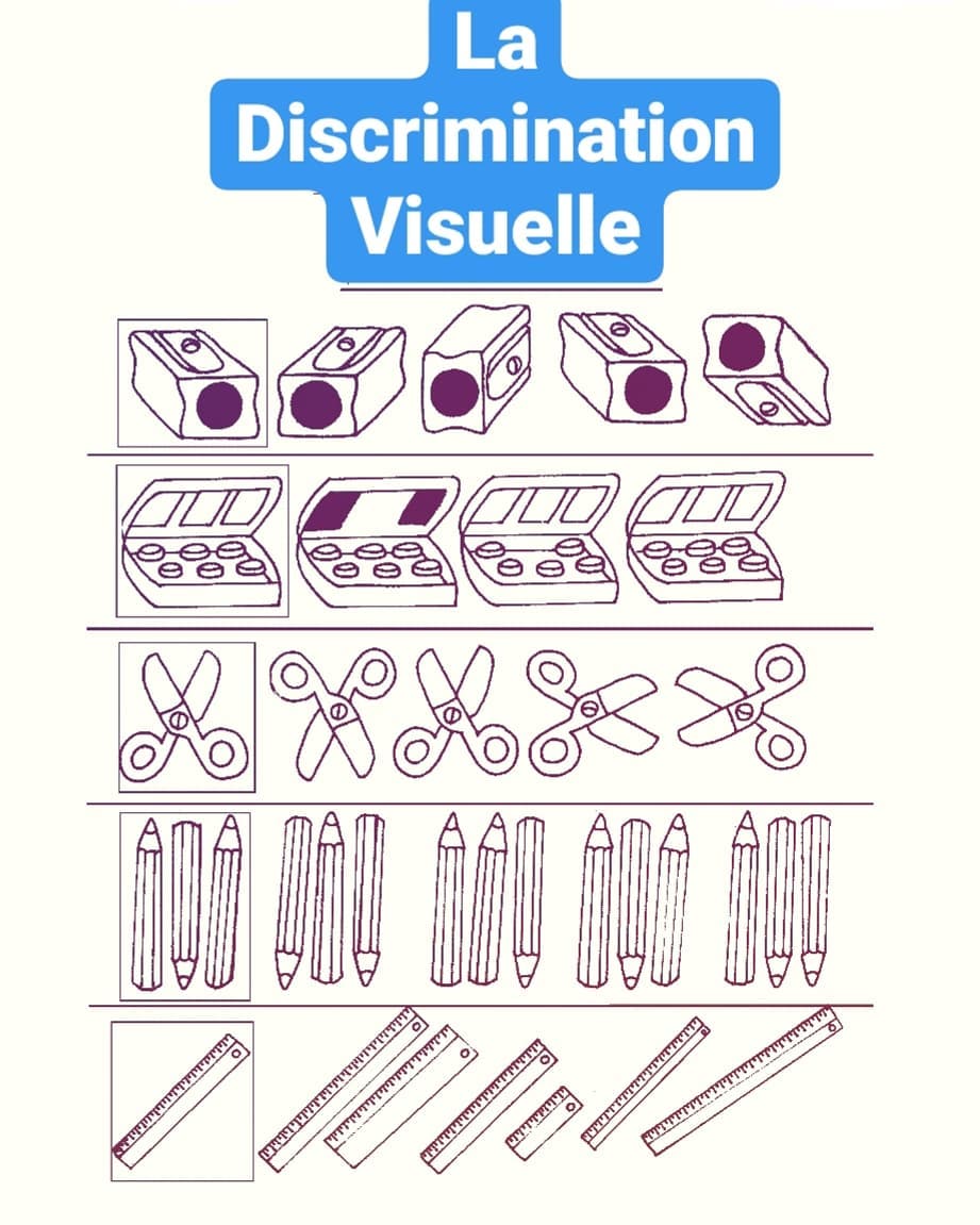 COP9- Dr Stéphanie Zwillinger - 🔹️** La discrimination visuelle **🔹️ ...