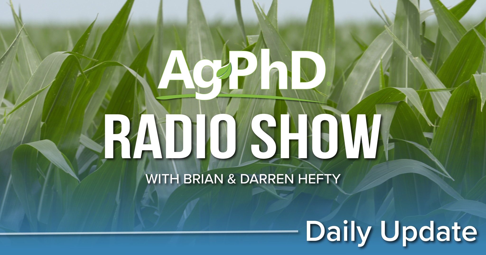 Ag - Ag PhD Radio Update for 1/18/24: Clethodim vs Fusilade vs Assure ...