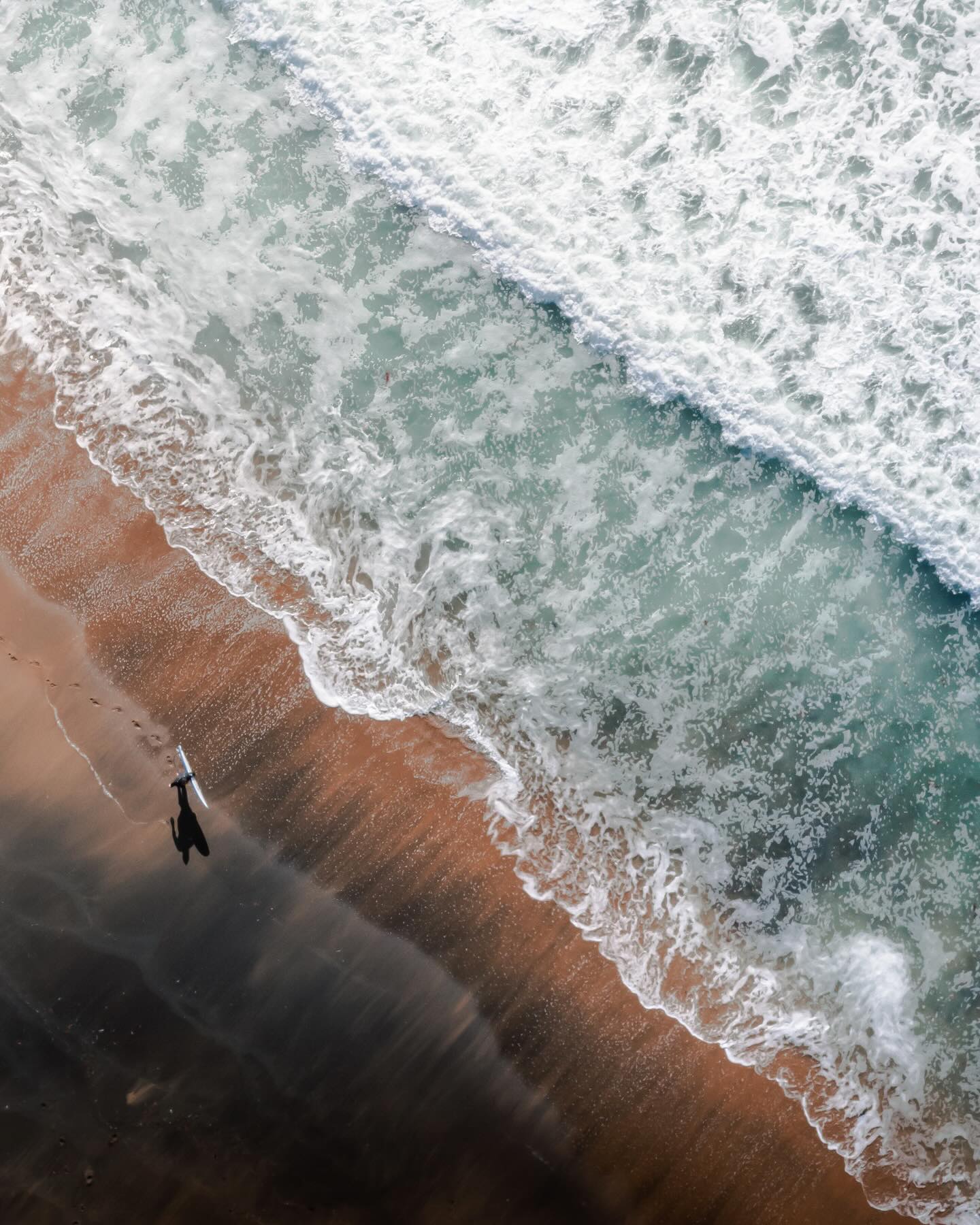 Coastal Wings - • Great Ocean Road • - Had a rather long...