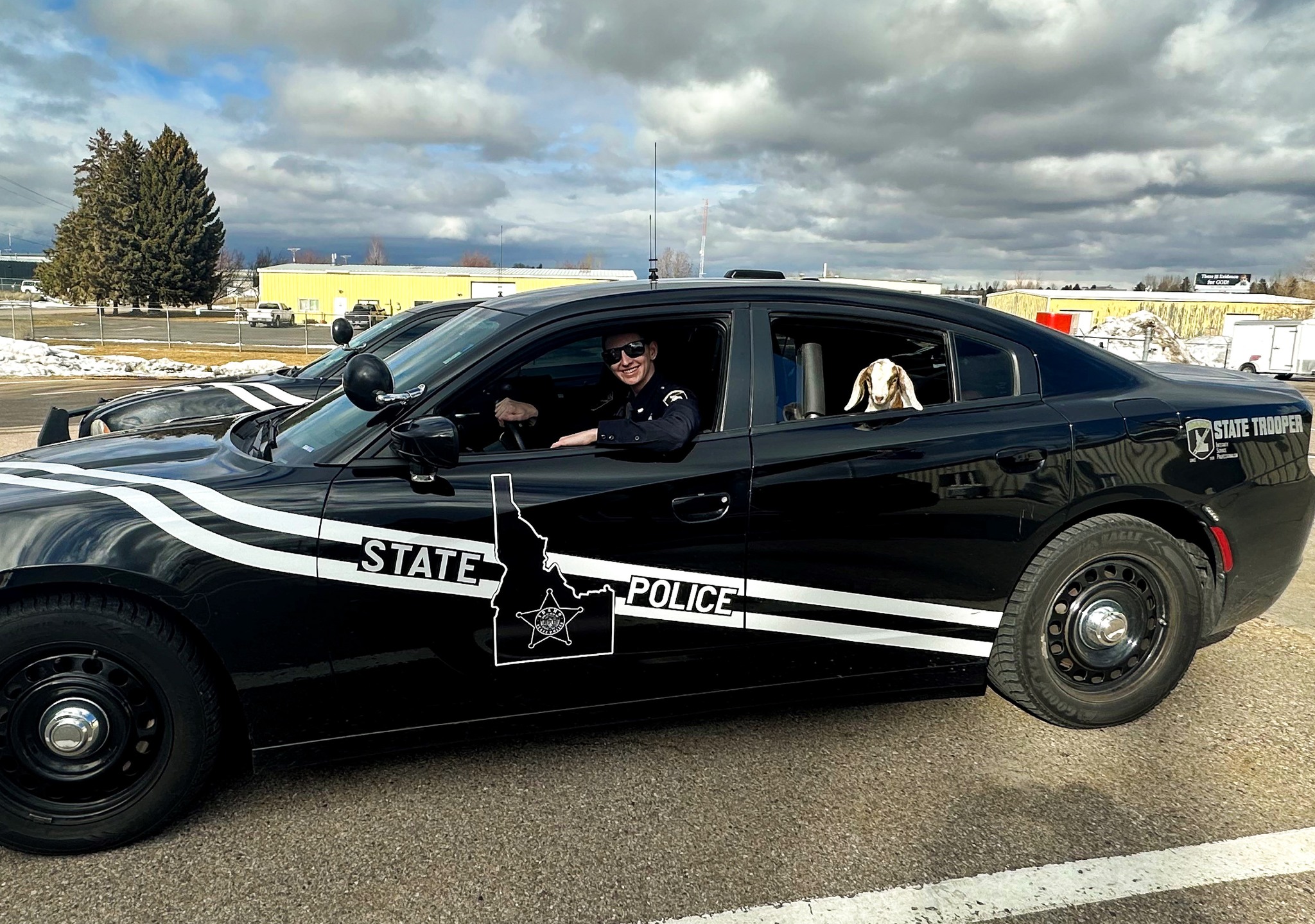 Caught this ‘baaaaa-d’ guy causing a... - Idaho State Police | Facebook