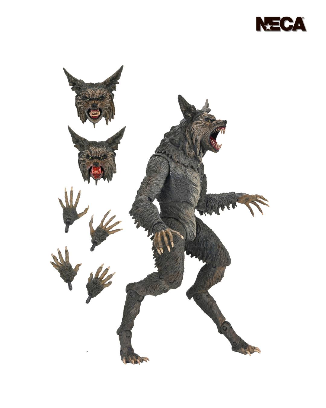 The Howling – Ultimate Werewolf Packaging Reveal! 🐺🌕Take a