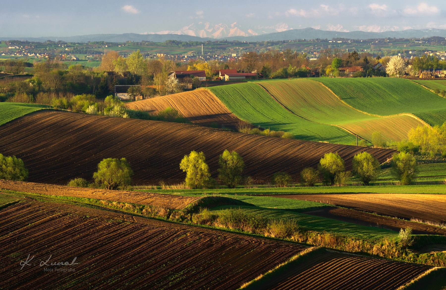 Kamil Łuczak Moja Fotografia