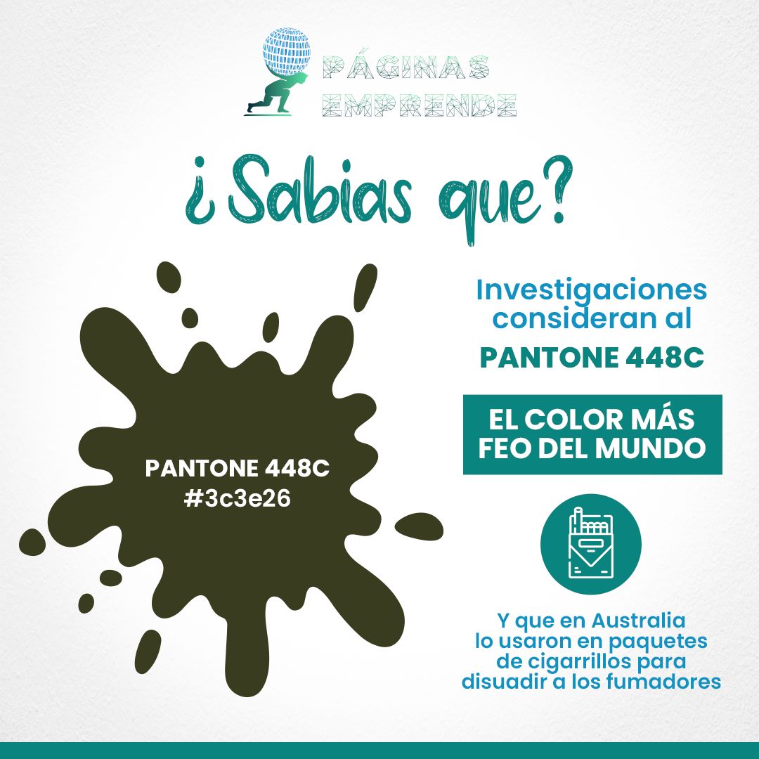 El... - Paginas Emprende - Agencia de Marketing y Diseño