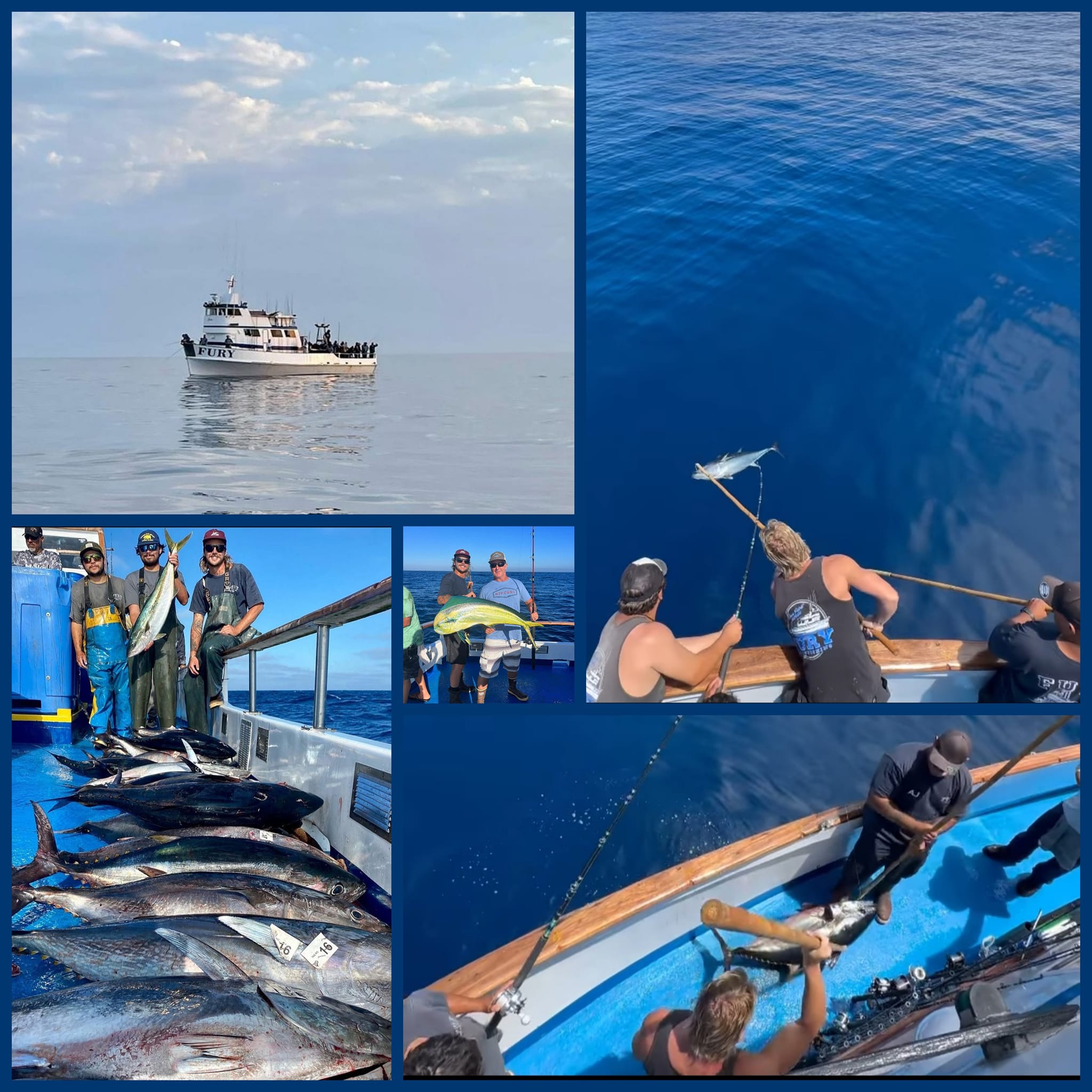 best large hard tackle box SKB 7200 The bow is 100 reargrip_length__11 Momoi Hi-Catch Diamond Monofilament Part:8:2 Section 8