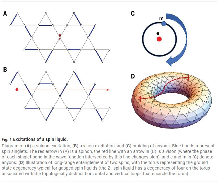 Nassim - Quantum spin liquids are exotic phases of matter that offer ...