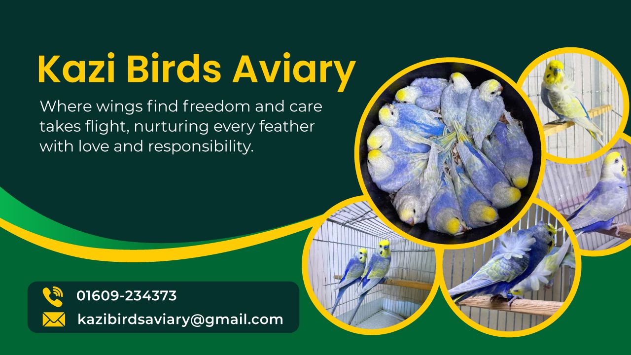 Photo inspiration: Gallery Detail: Kazi Birds Aviary
