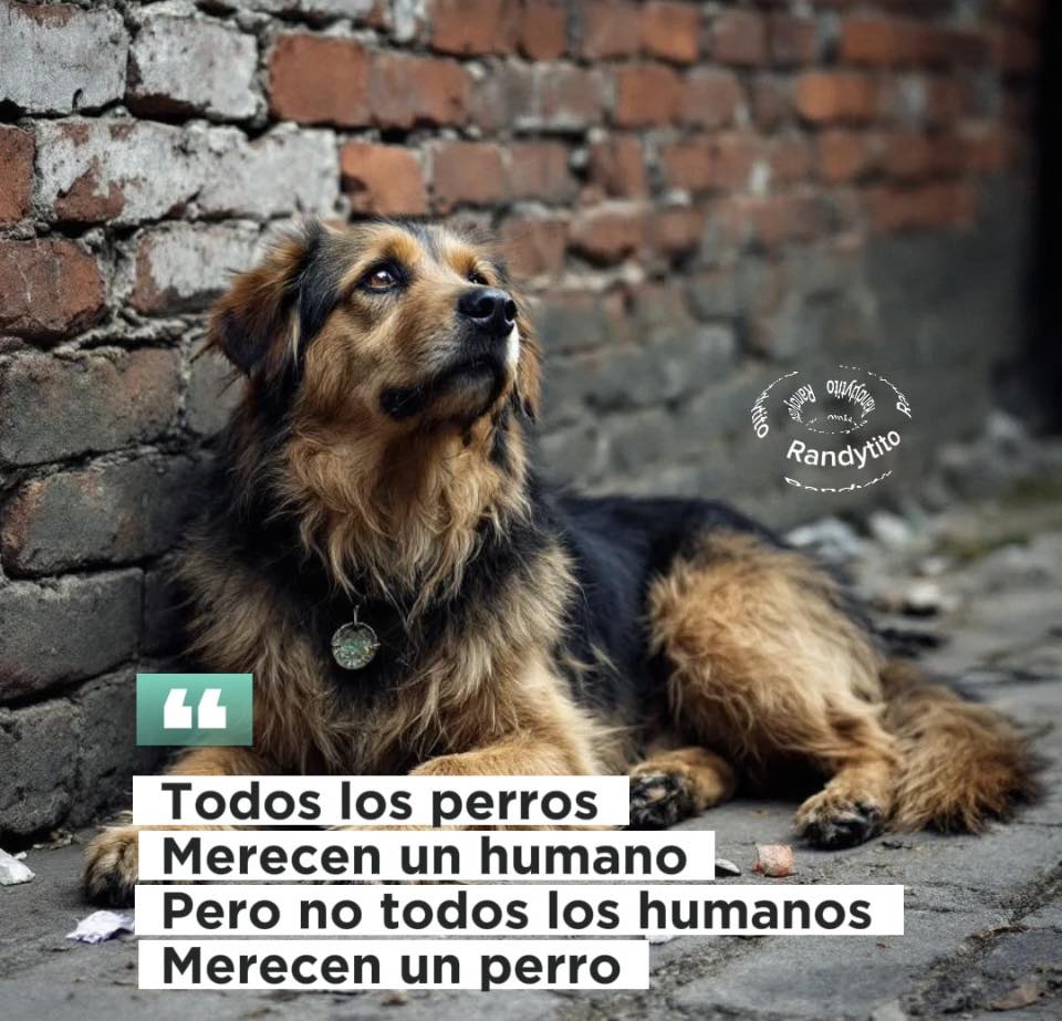 Randytito | Mexico City