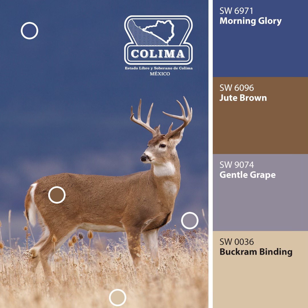 Sherwin-Williams Caucel