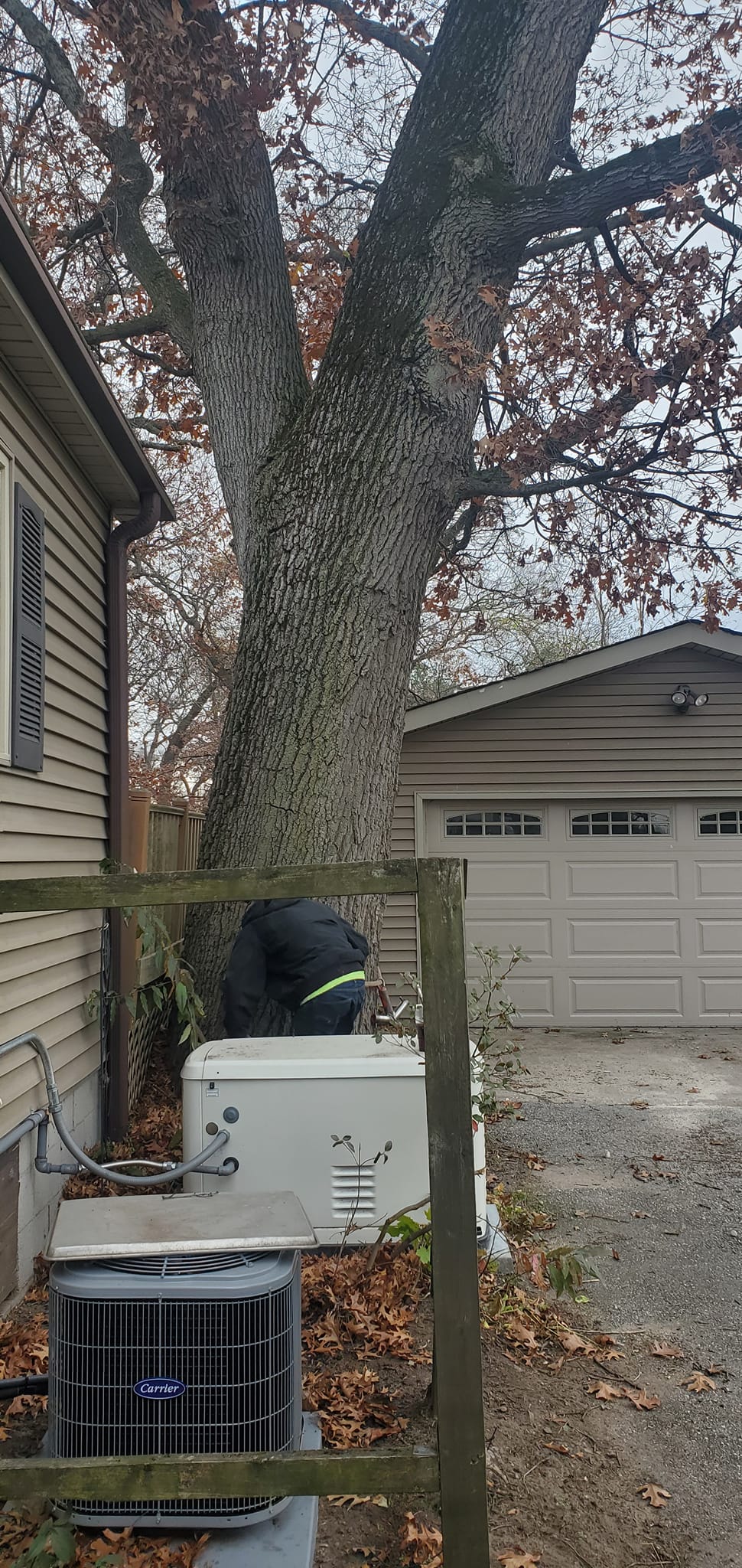 Joe's Discount Tree & Stump Service | Crown Point IN