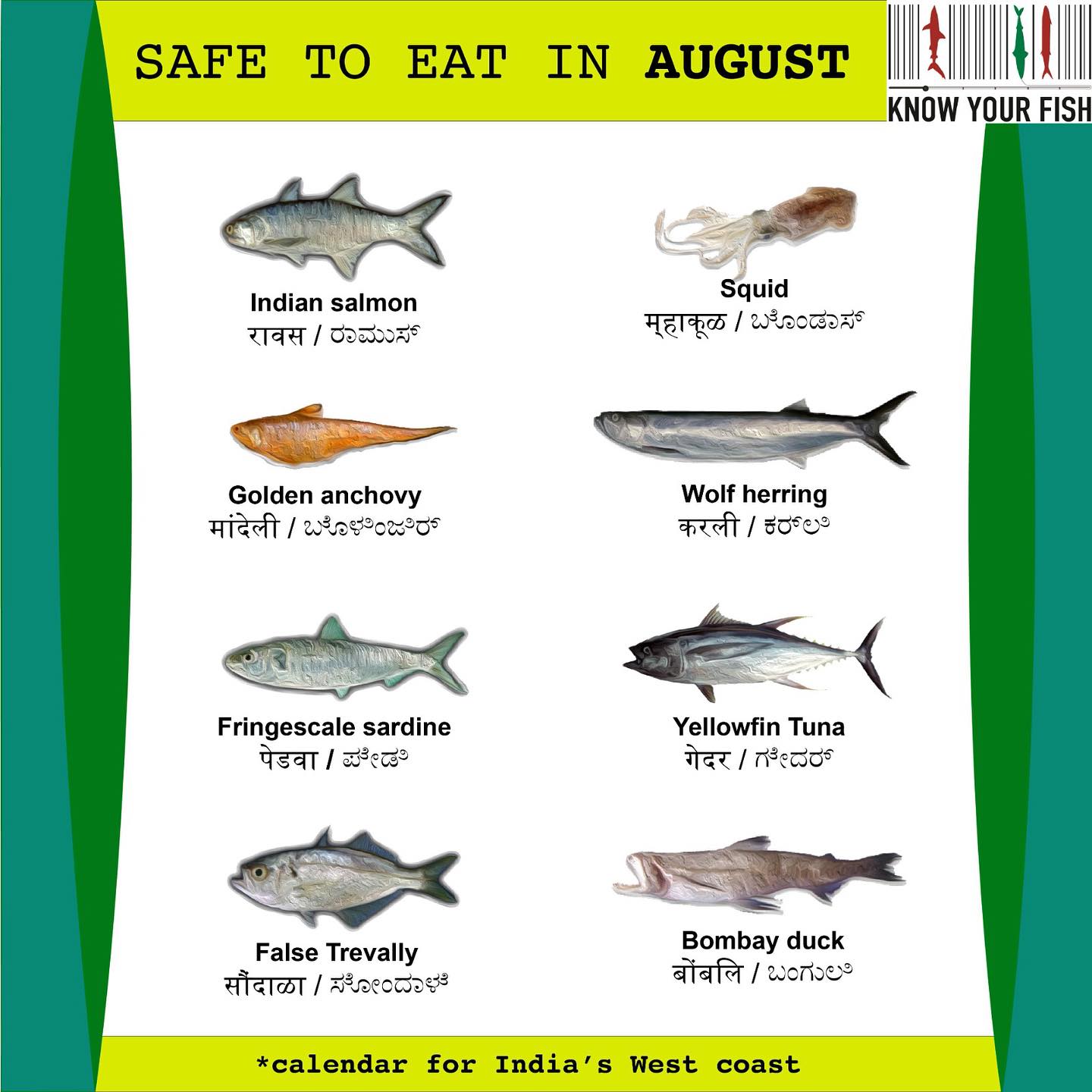 Fish for August! Eat responsibly.... - Know Your Fish India
