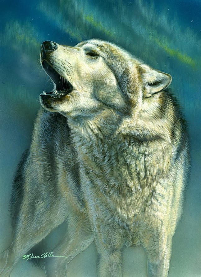 Rebecca Latham - The subject of the piece is a wolf howling into the ...