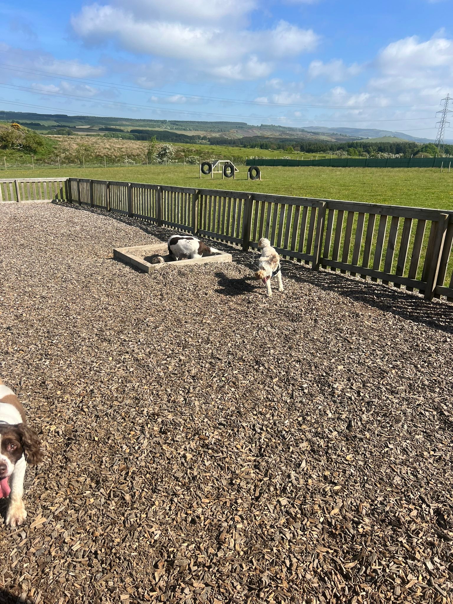Dean Farm Dog Park | Dunfermline