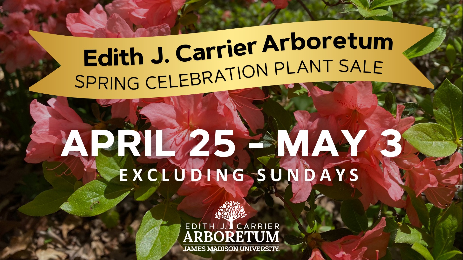 Spring Celebration Plant Sale