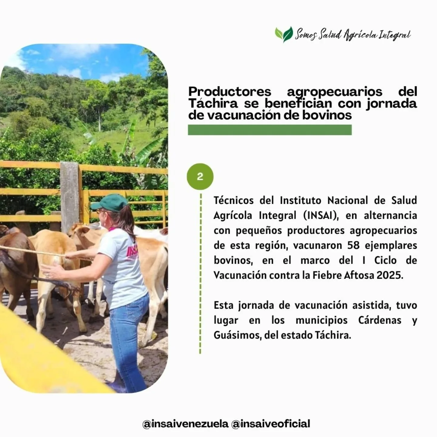 Instituto Nacional de Salud Agricola Integral. INSAI | Maracay