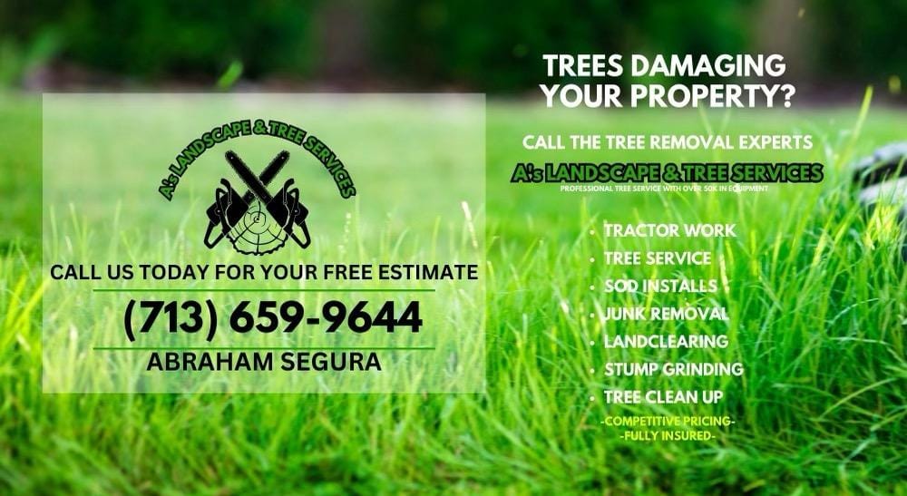 A's Landscape & Tree service