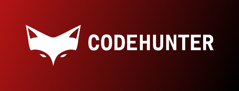 CodeHunter | McLean VA