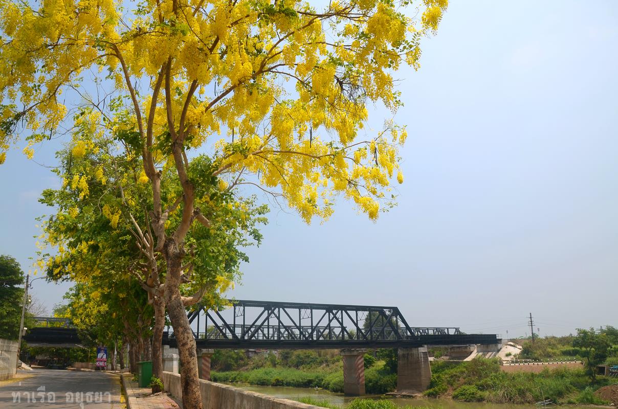 ท่าเรือ อยุธยา | Tha Rua