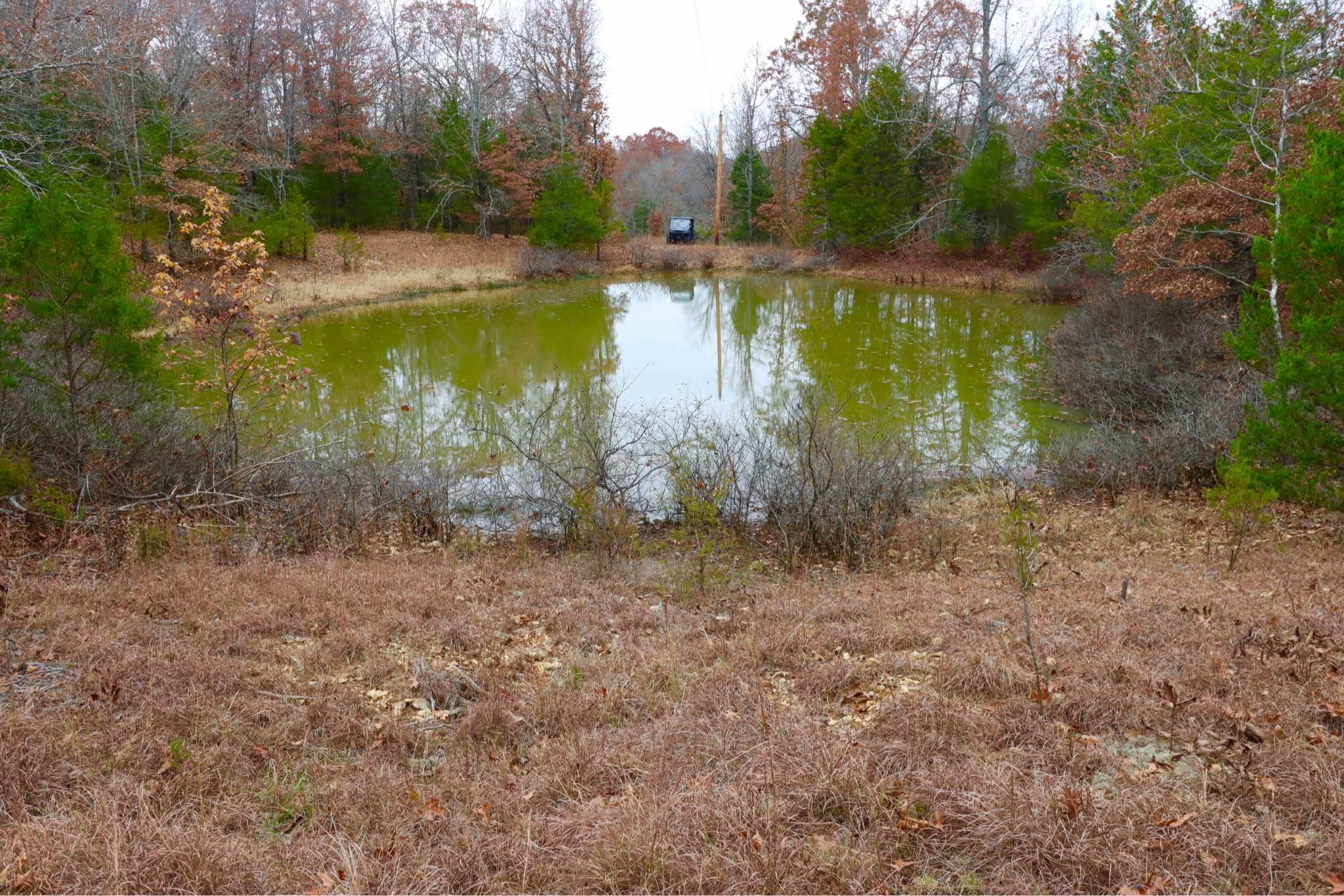 Land for sale 40 +/ acres south of Salem, AR Property For Sale