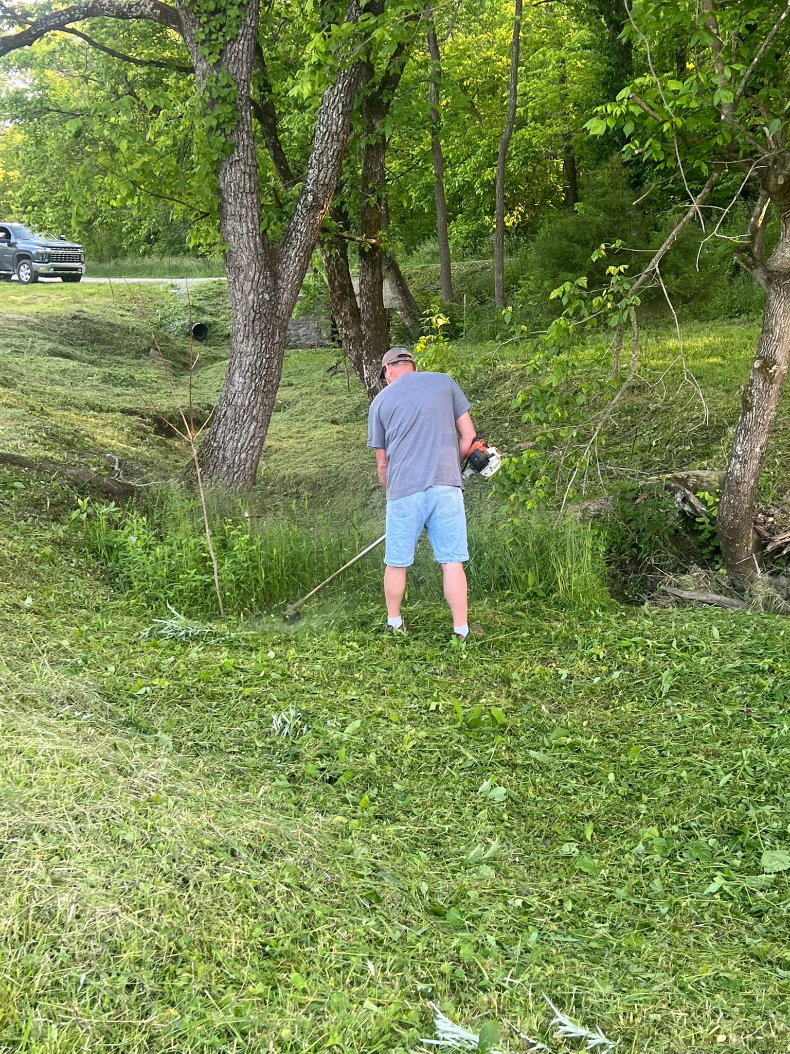 Big Dawg Tree Service & Stump Grinding | Mount Sterling KY