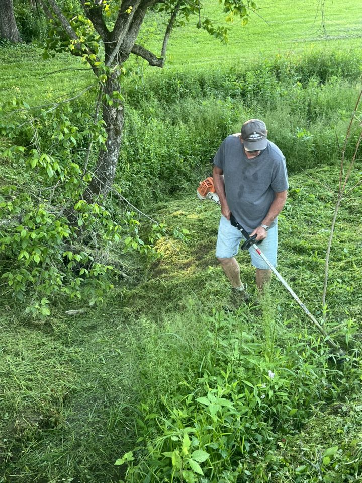 Big Dawg Tree Service & Stump Grinding | Mount Sterling KY